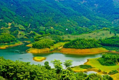 hoa binh